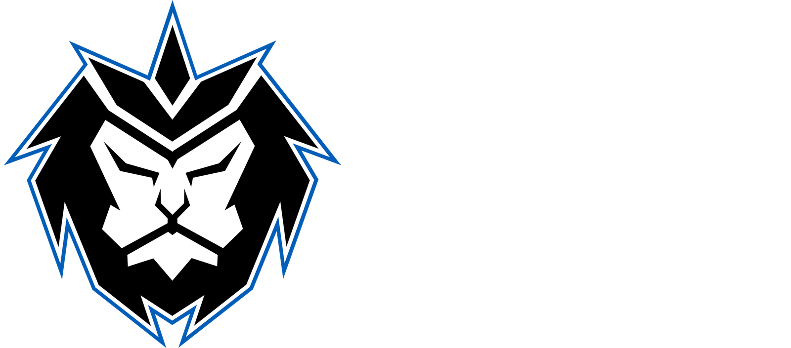 LAVIE Esports